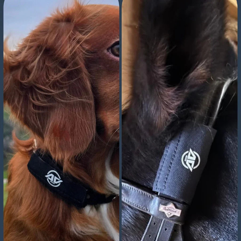 Close up of a dog wearing a collar patch and a horse wearing a bridle patch, showcasing AV Edge frequency technology that may support natural animal mobility, calming, and headshaking.