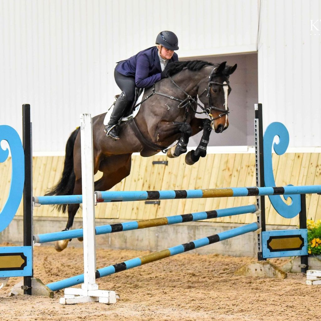 Professional showjumper Laura Goodall clearing a blue and gold oxer jump, demonstrating the use of AV Edge Horse Bridle Patches during competition. This FEI-Legal equine calming alternative may support the equine biomechanical coordination and focus required for high-level jumping while ensuring 'Anti-Doping' confidence.
