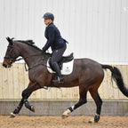 Equestrian Laura Goodall riding her bay horse in an indoor arena, with AV Edge Horse Bridle Patches clearly visible on the bridle headpiece. This 100% FEI-Legal solution offers 'Anti-Doping' confidence in the show ring, where equine biomechanical coordination and focus are essential for a high-performance, 'on the bit' ride.