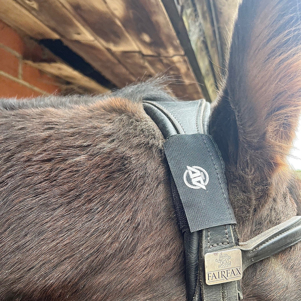 A super close-up of a black AV Edge Horse Bridle Patch wrapped around the wide leather headpiece of a Fairfax bridle. The image highlights the secure fit and placement of the patch, which utilizes EF Technology to potentially provide poll pressure relief and trigeminal nerve support, helping horses remain soft and 'on the bit'.