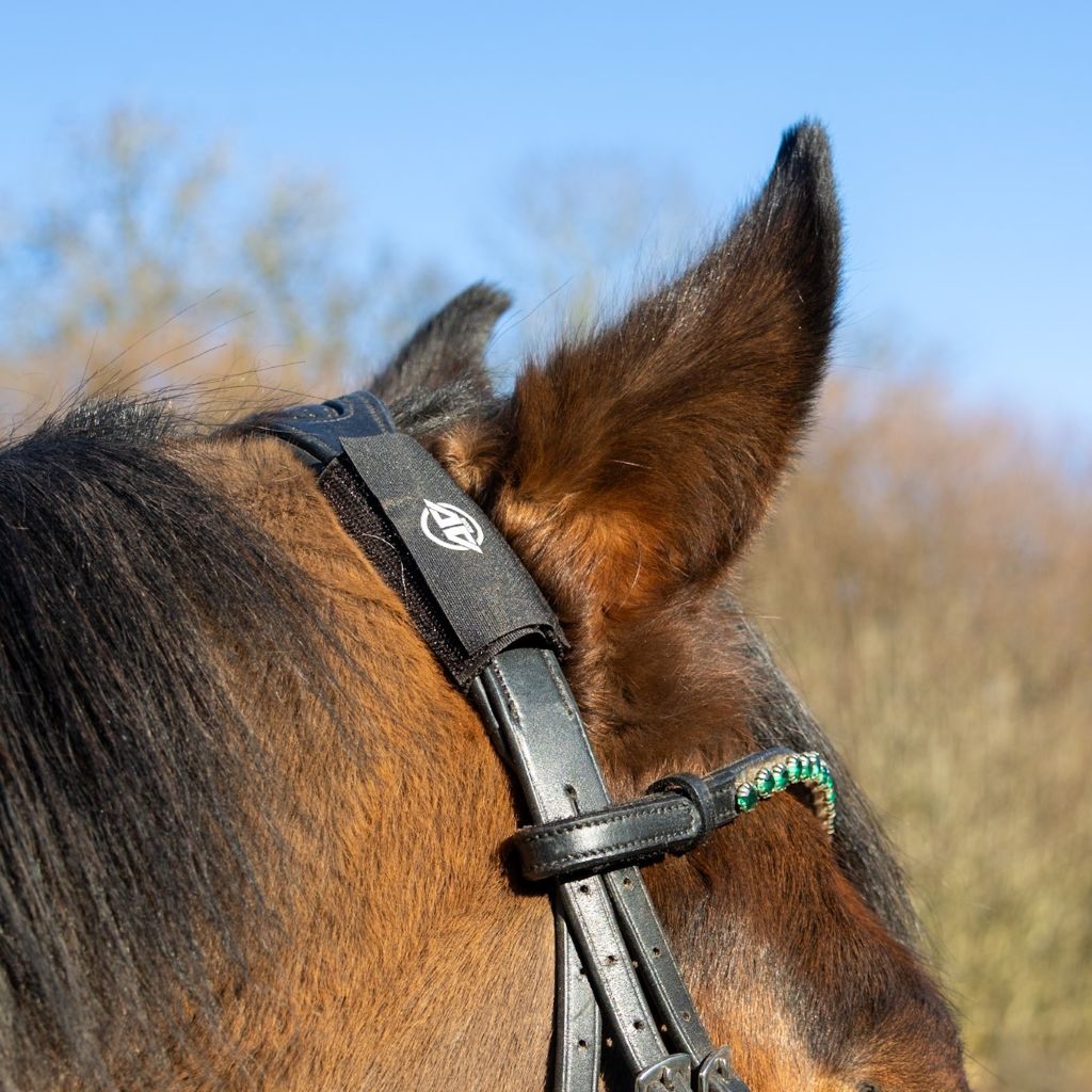 A close-up, profile shot of a bay horse's head wearing a leather bridle. A black AV Edge Horse Bridle Patch is securely attached to the headpiece near the ear, demonstrating how EF Technology might provide natural calming and poll pressure support to help with horse spooking, focus, and headshaking during riding.